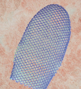 Honeycomb Dual-Sided Bath Mitt