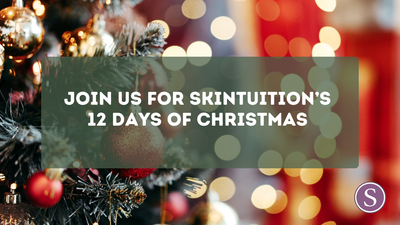 12 Days of Skintuition Christmas: Part One