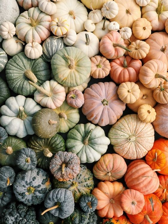 Surprising Thanksgiving Foods That Double As Skincare Ingredients