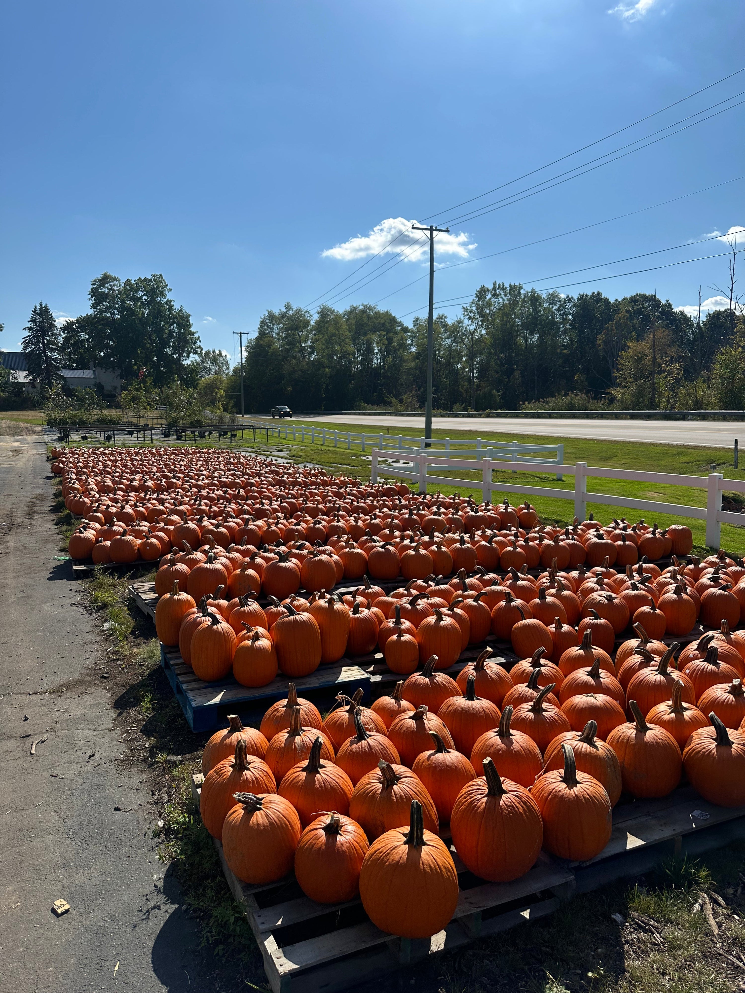 Fall Real Talk: Debunking Skincare Myths