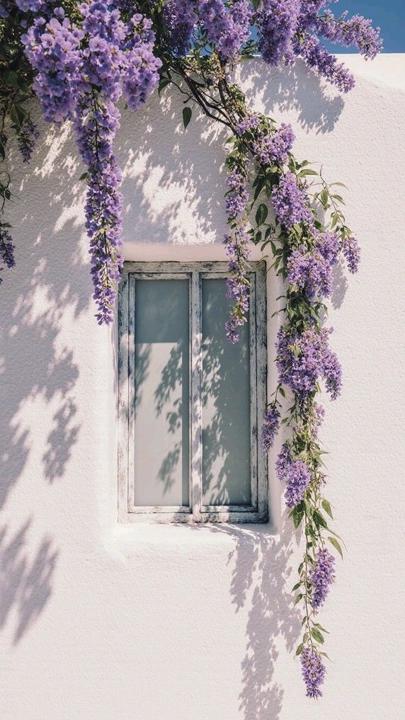 Winter Skin Recovery: How to Repair Dry, Stressed Skin Before Spring