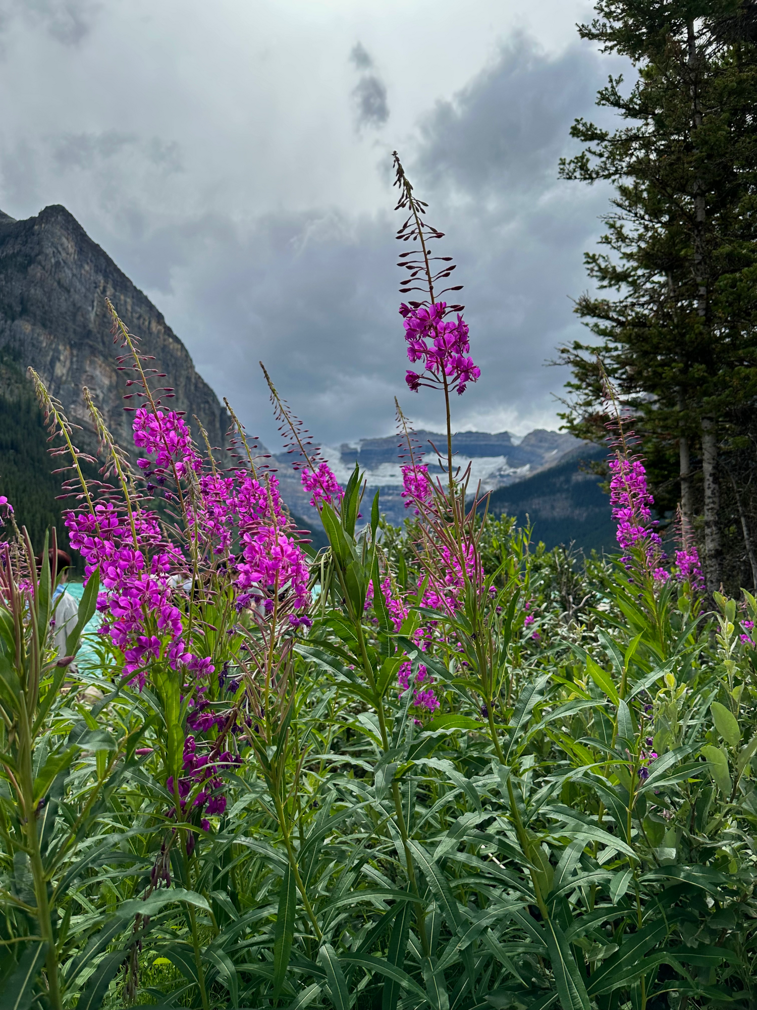 Skincare for Outdoor Enthusiasts: Protecting Your Skin This Spring