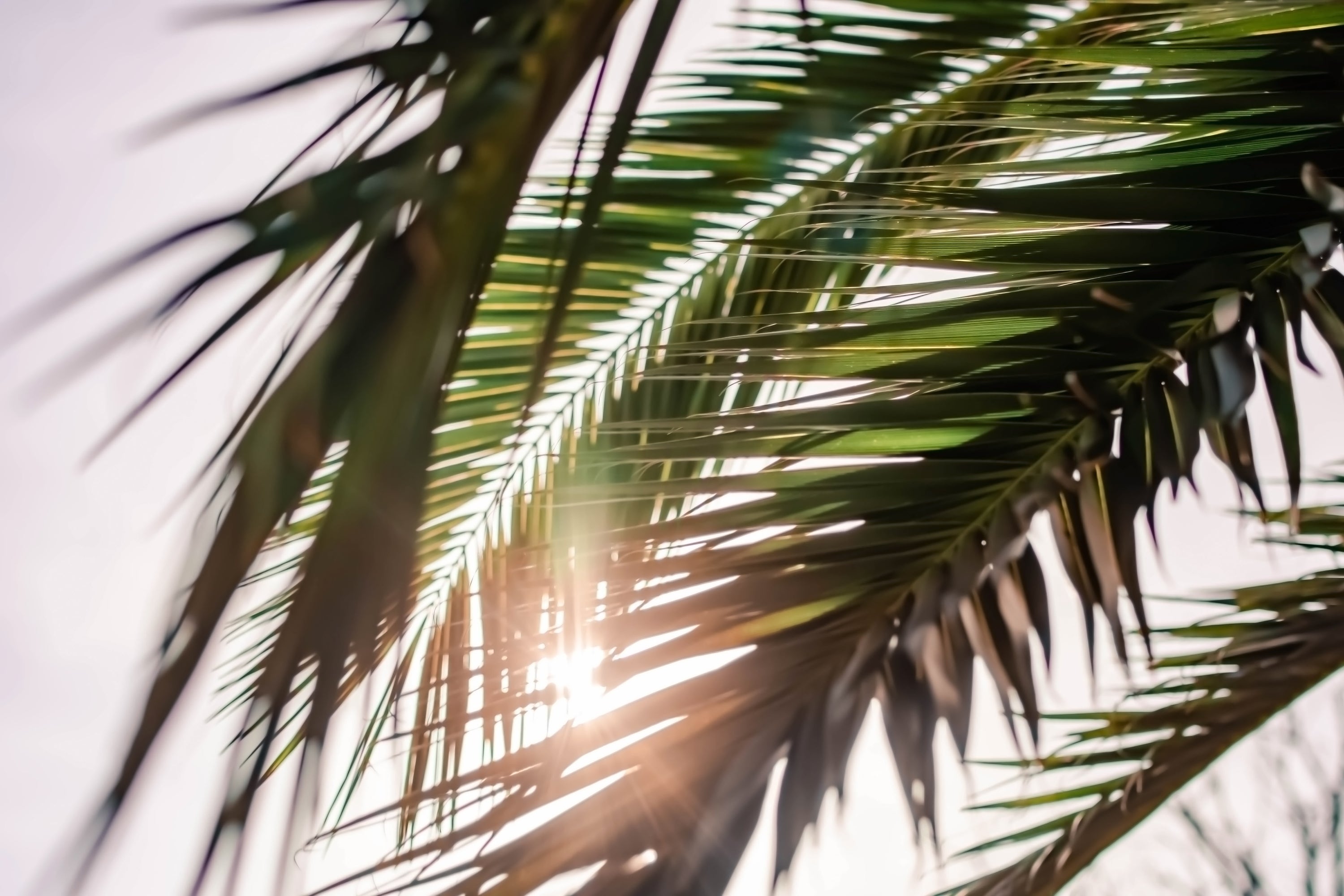 Prepping Your Skin for Summer: A Guide to Radiant Skin